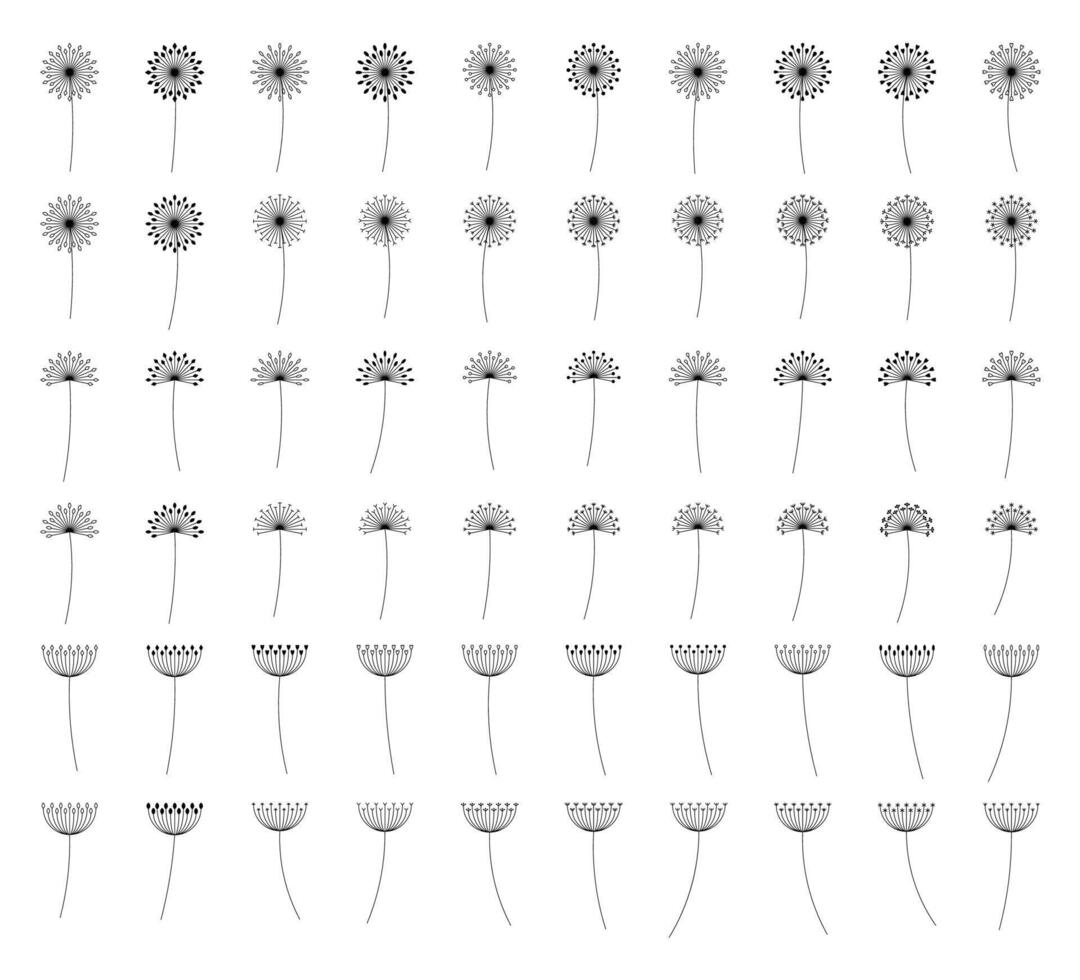 Dandelion Flower Outline vector