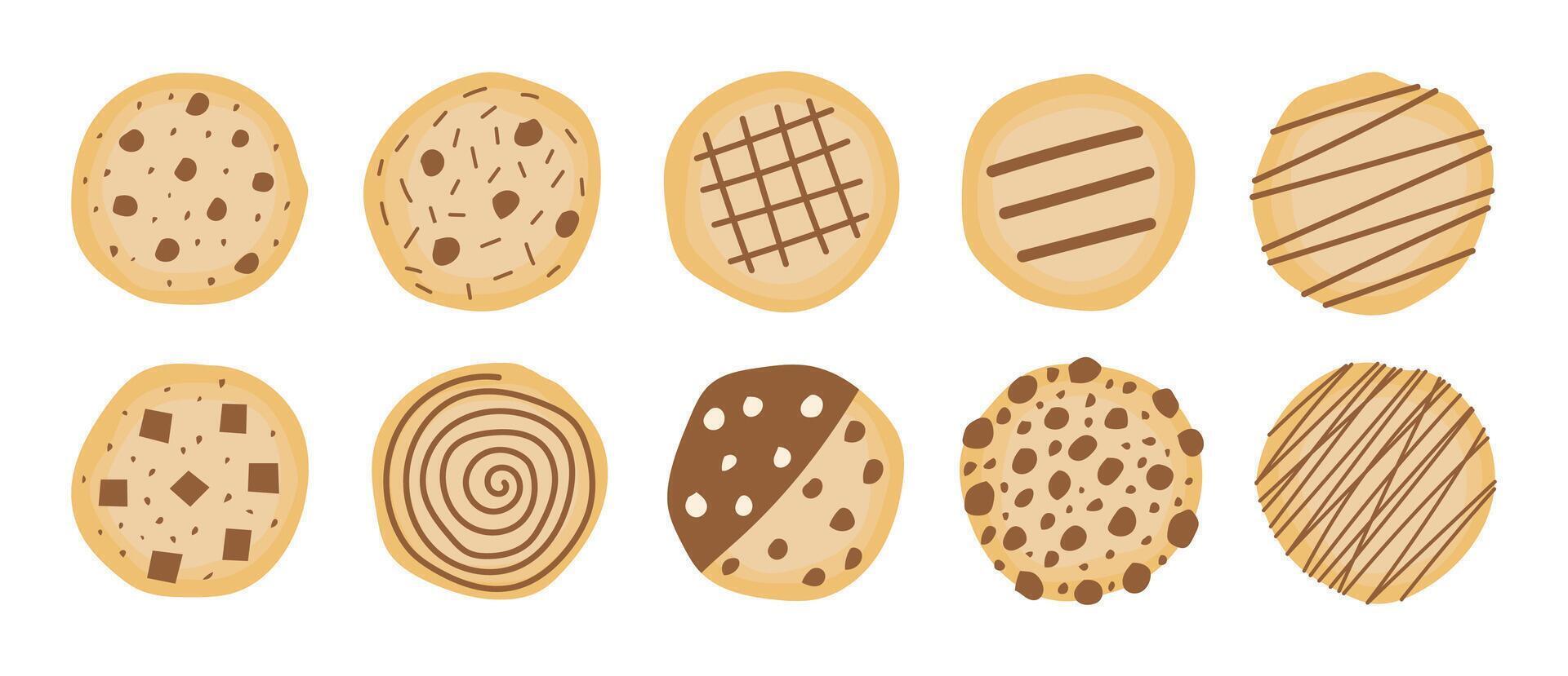 Baked Chocolate Chip Cookies vector