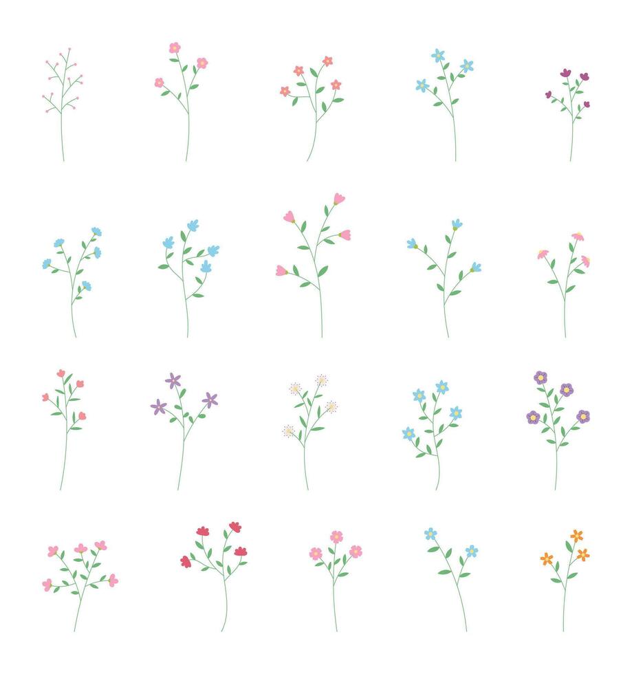 Blooming Colorful Flower with Leaves vector