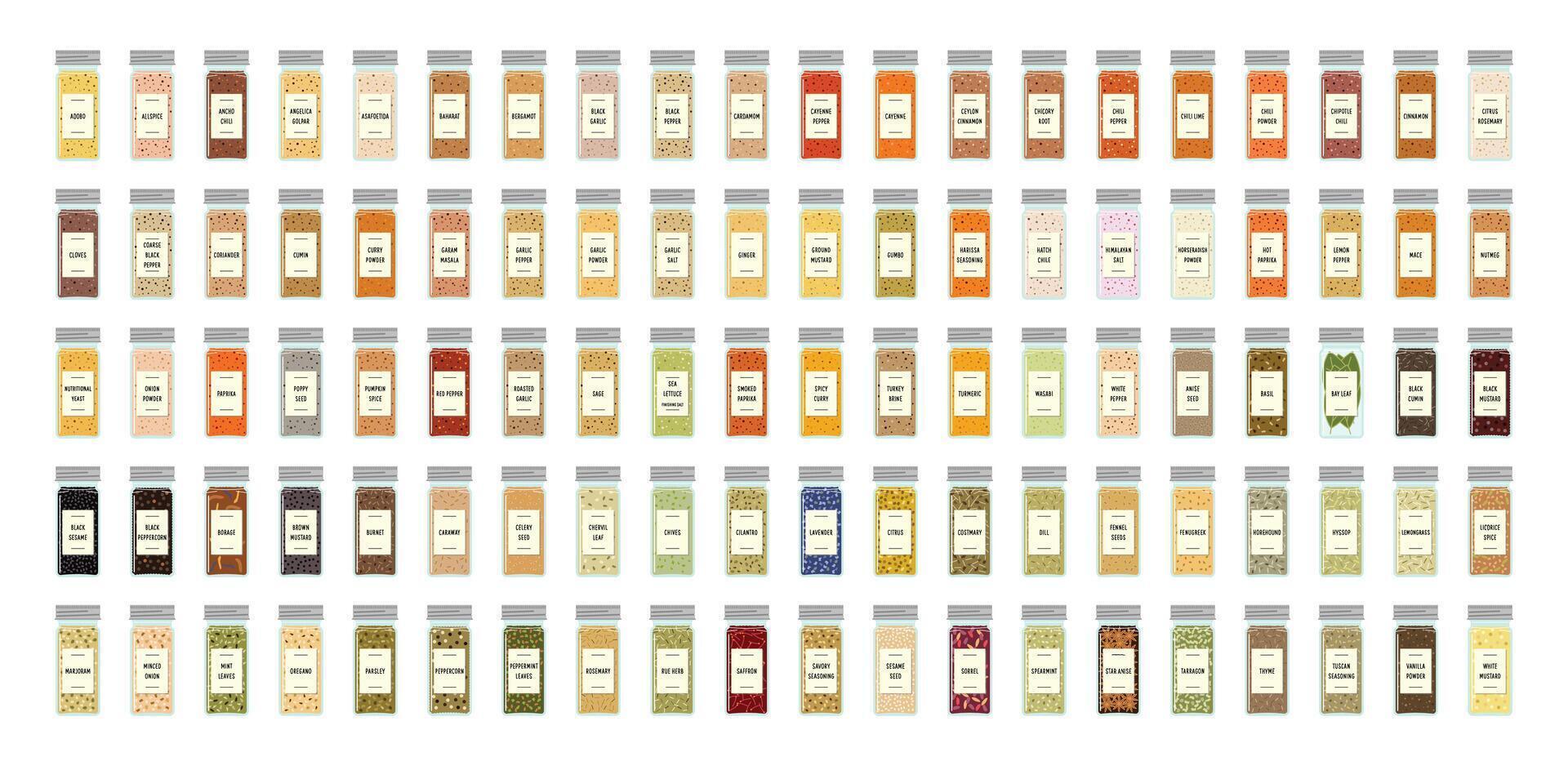 Spices and Herbs in a Tall Glass Jar with Can Lid vector