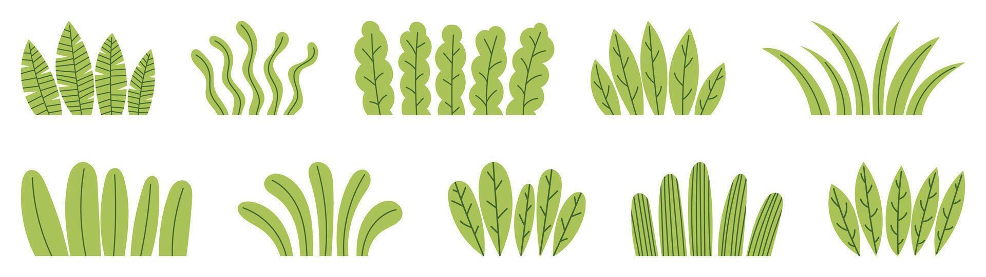 Close Up of Leafy Green Bush vector