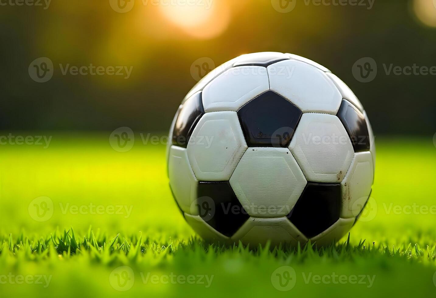 Traditional Soccer Ball on Well-Maintained Stadium Pitch photo