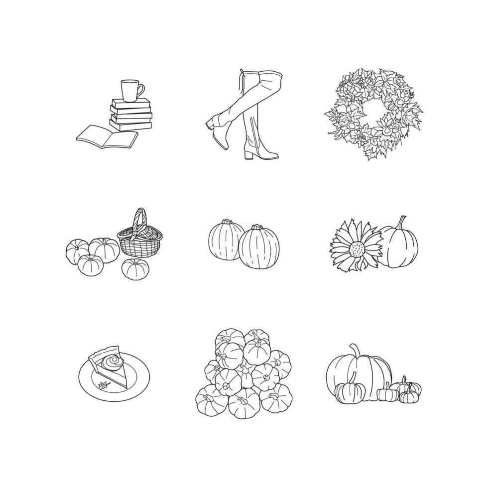 Pumpkin autumn line hand drawn set vector