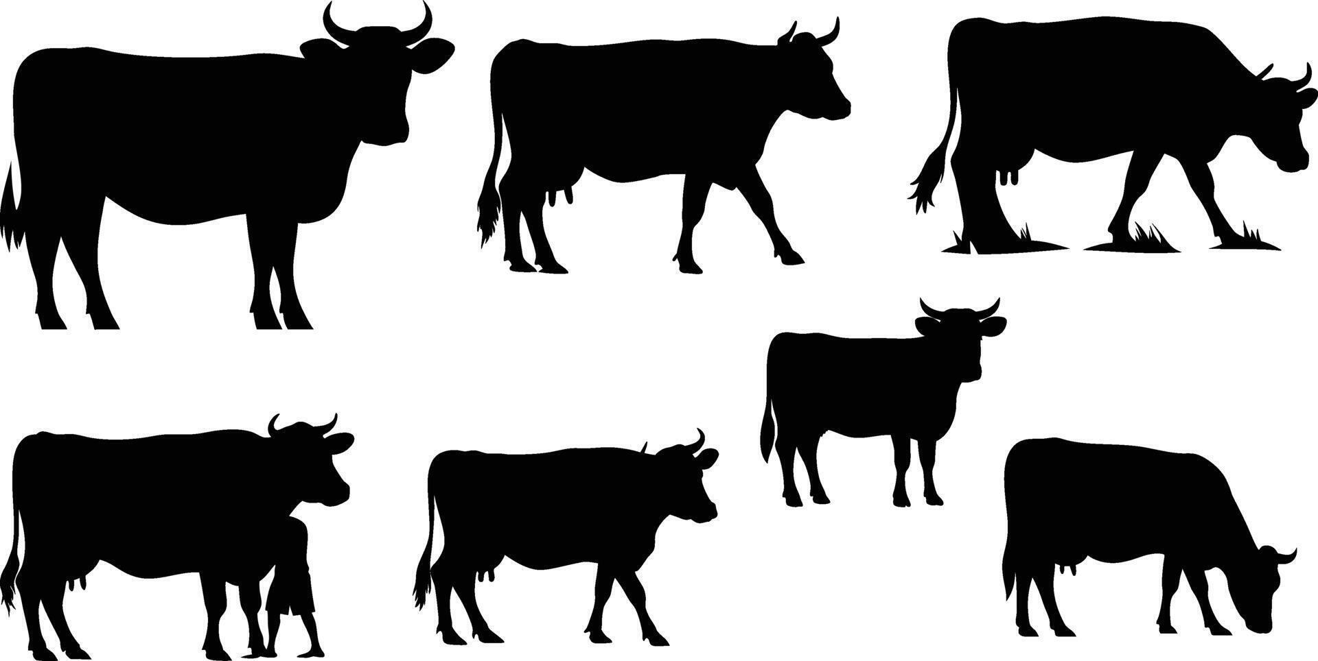 Cow Silhouette Set Farm Animal Illustrations in Multiple Poses and Styles vector