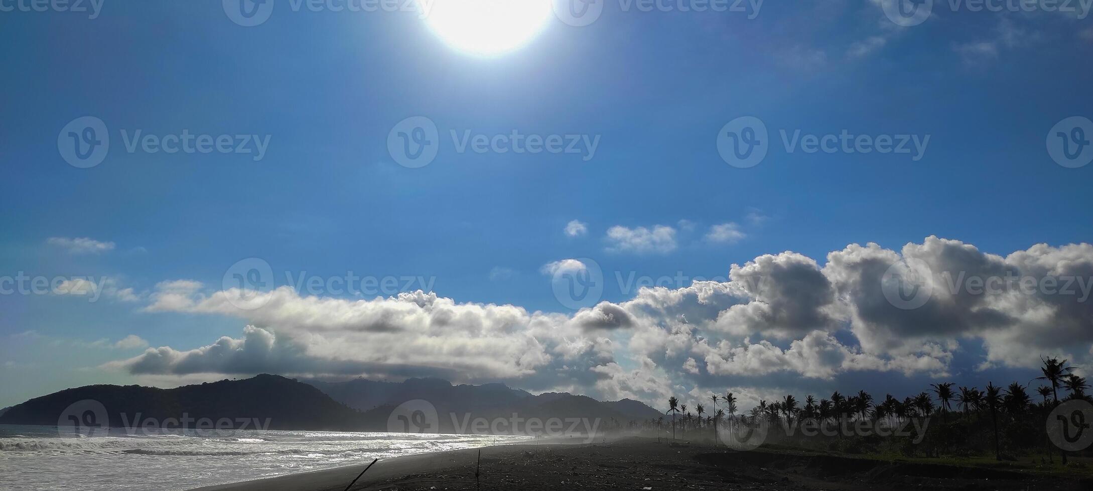 Sunlit Beach with Palm Trees and Ocean View photo