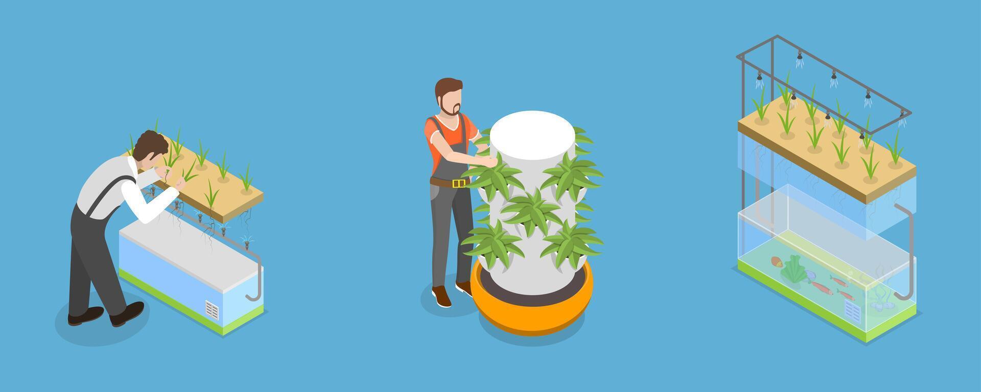 3D Isometric Flat Illustration of Hydroponics, Aeroponics And Aquaponics In Greenhouse, Agriculture Methods for Crop Cultivation vector