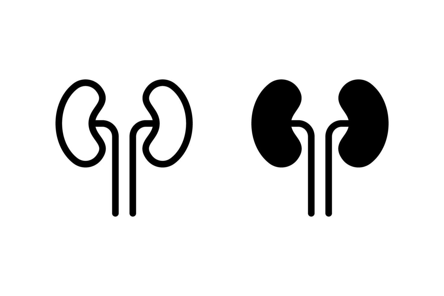 kidney icon set. Depicts human kidneys and ureters. Suitable for medical, healthcare, anatomical vector