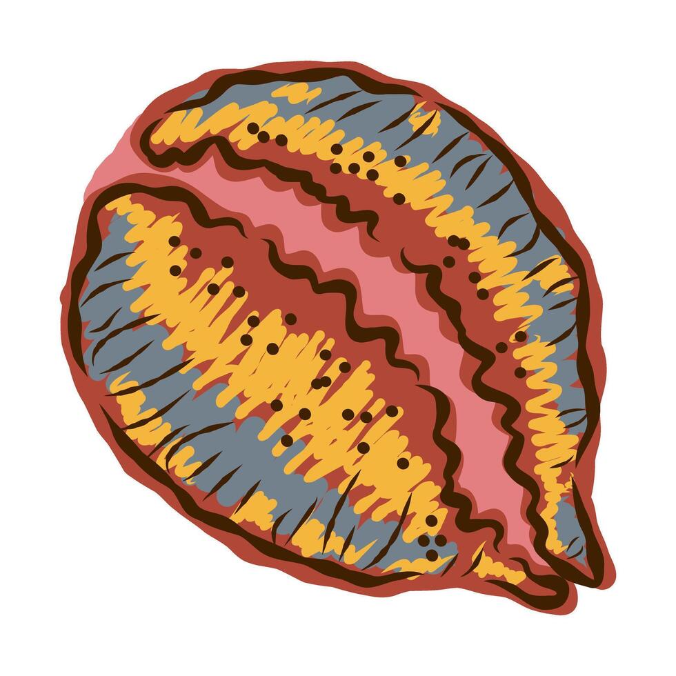a colorful, hand drawn illustration of a shell vector