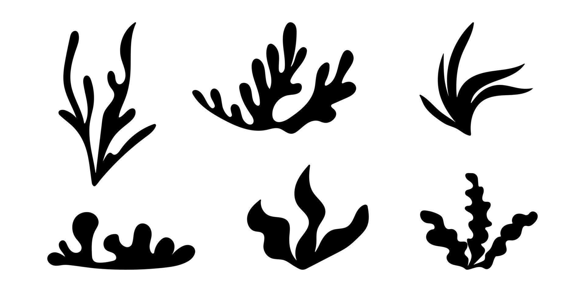 Hand drawn seaweed set in boho style. Sea algae, silhouette plants, reef of coral, underwater elements, marine leaf. Flat summer icon. Isolated illustration on white background. vector