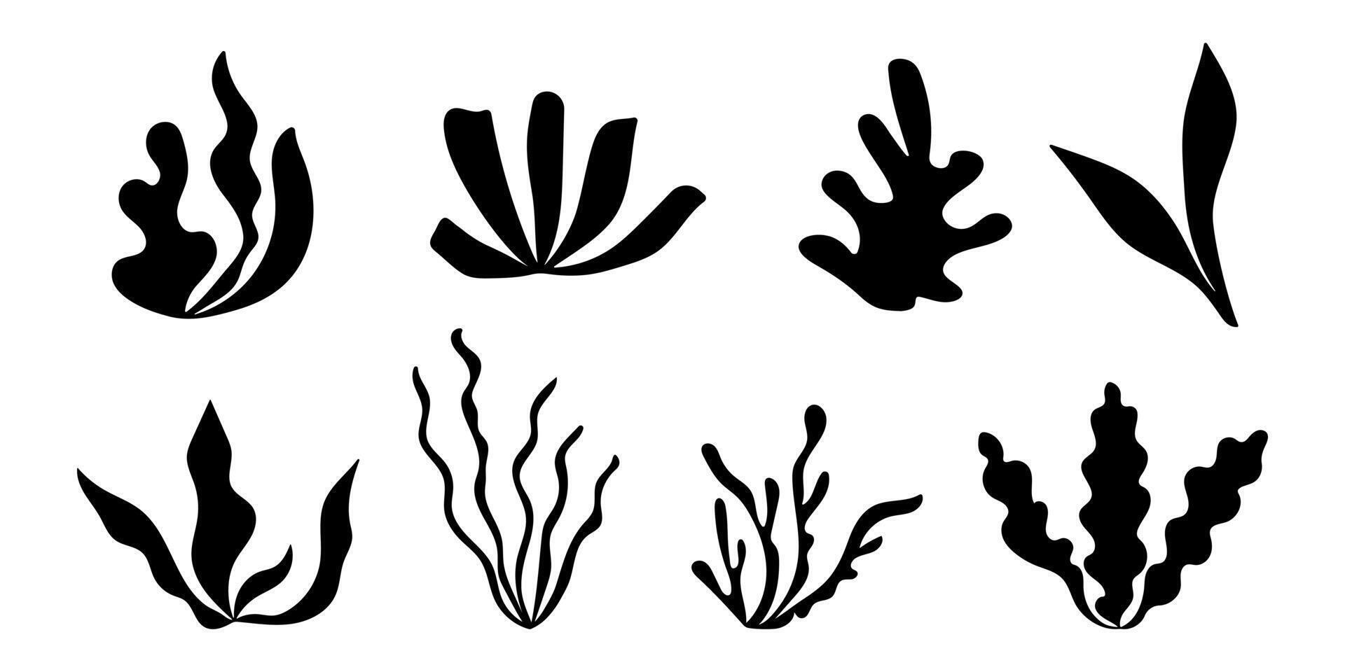 Abstract seaweed set in boho style. Sea algae, reef of coral, silhouette plants, marine flat elements, submarine leaf. Underwater summer icon. Isolated illustration on white background. vector