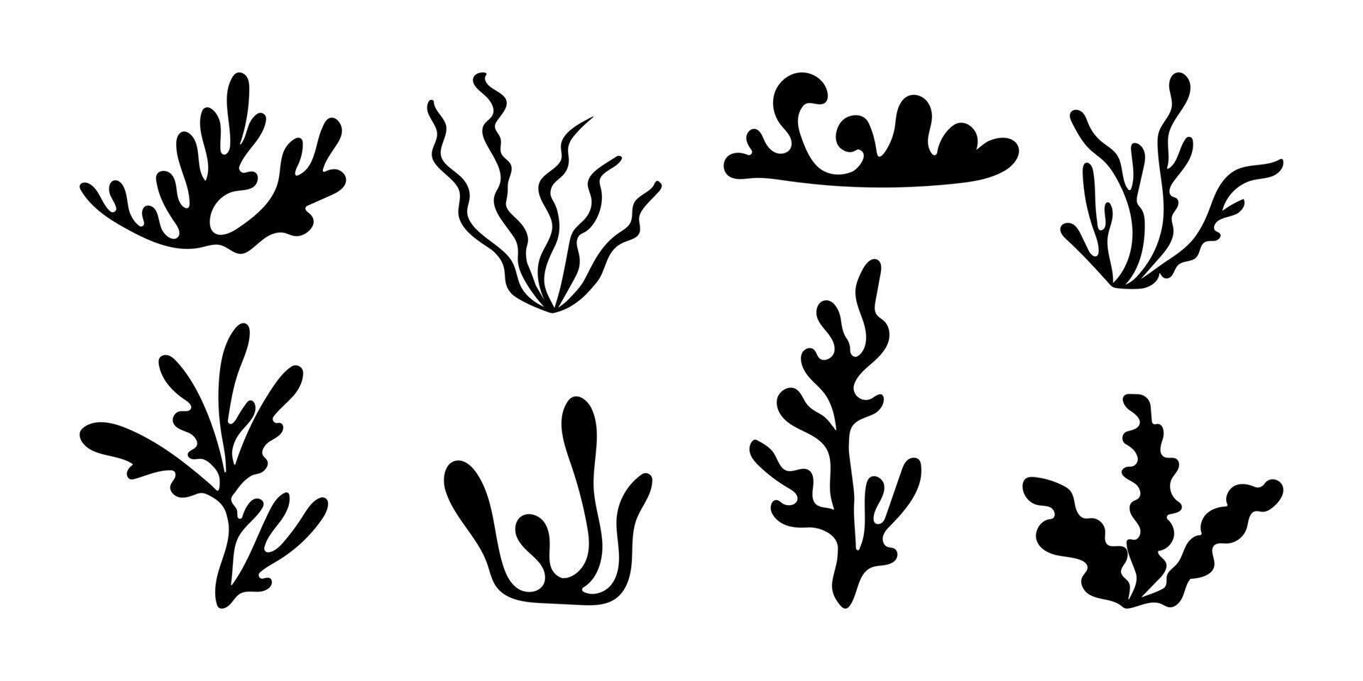 Abstract seaweed set in boho style. Sea algae, silhouette plants, reef of coral, submarine leaf, marine flat elements. Underwater summer icon. Isolated illustration on white background. vector