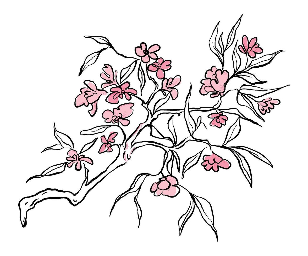Beautiful Japanese Sakura in doodle style. Hand drawn Cherry blossom branch. Spring flower background. Drawn with trendy curve line in ink. outline illustration. vector