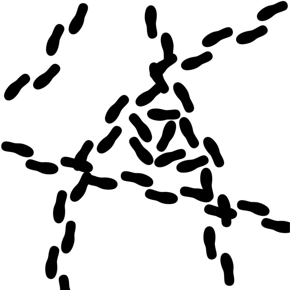 silhouette of human footprints walking irregularly. Black footprints appear from all directions on a white background. vector