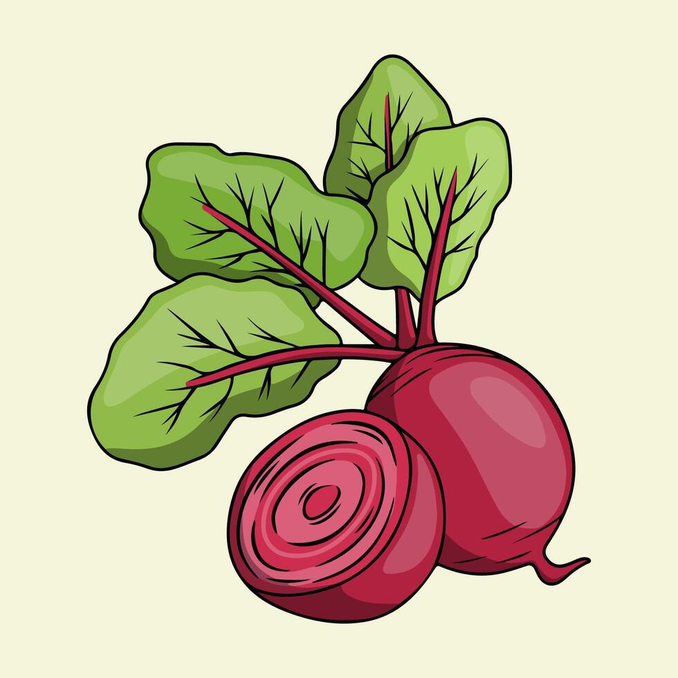 Beetroot with leaves illustration vector