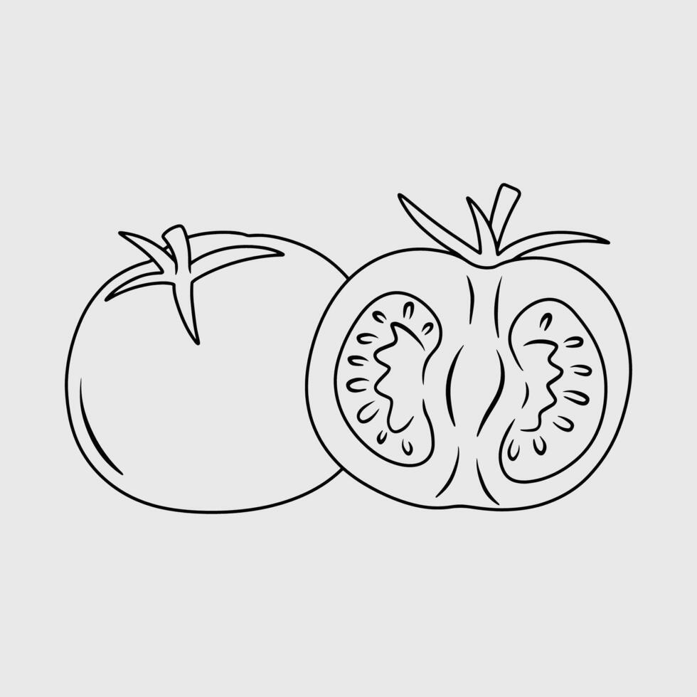Tomato whole and sliced black and white line art illustration vector