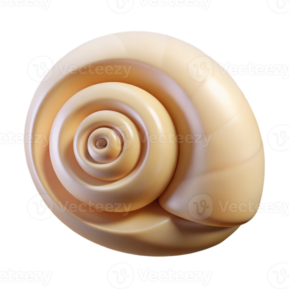 sumptuous rustic Photorealistic, isolated cutout of a single, seashell, spiral shaped with Transparent Background premium png