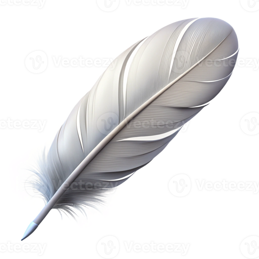 wonderful acclaimed Ultra-detailed, photorealistic isolated cutout of a single feather, white with Transparent Background png