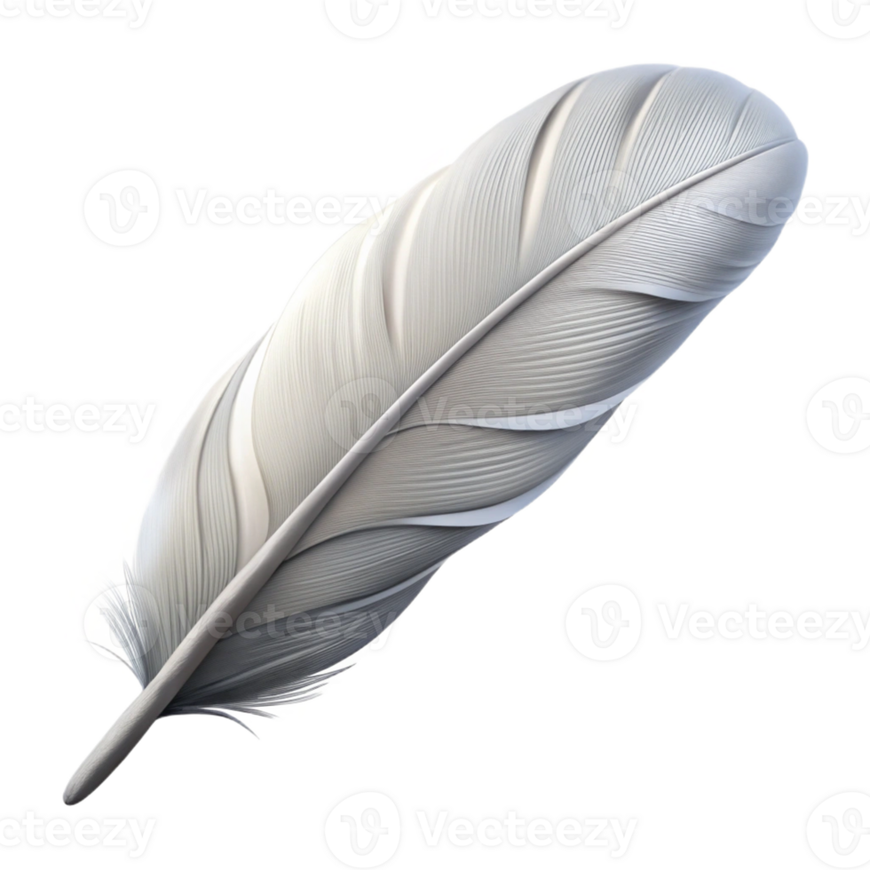 pristine acclaimed Ultra-detailed, photorealistic isolated cutout of a single feather, white with Transparent Background png