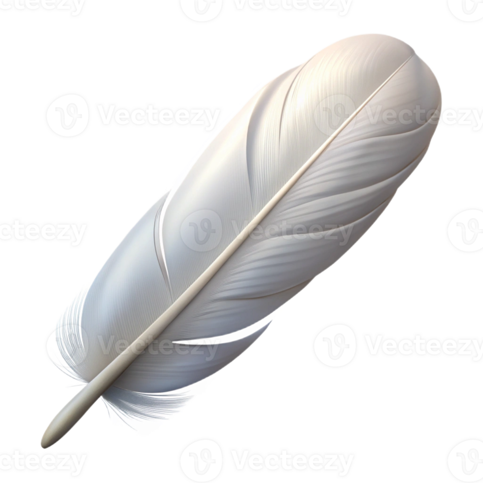 notable contemporary Single feather, white dove feather with Transparent Background precision png