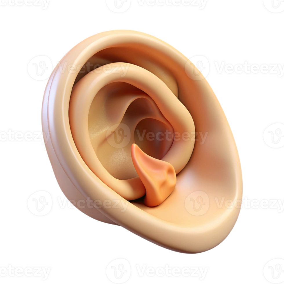 stunning standout Concept art style, isolated cutout of a single human ear listening to the whispers of a conch shell with Transparent Background png