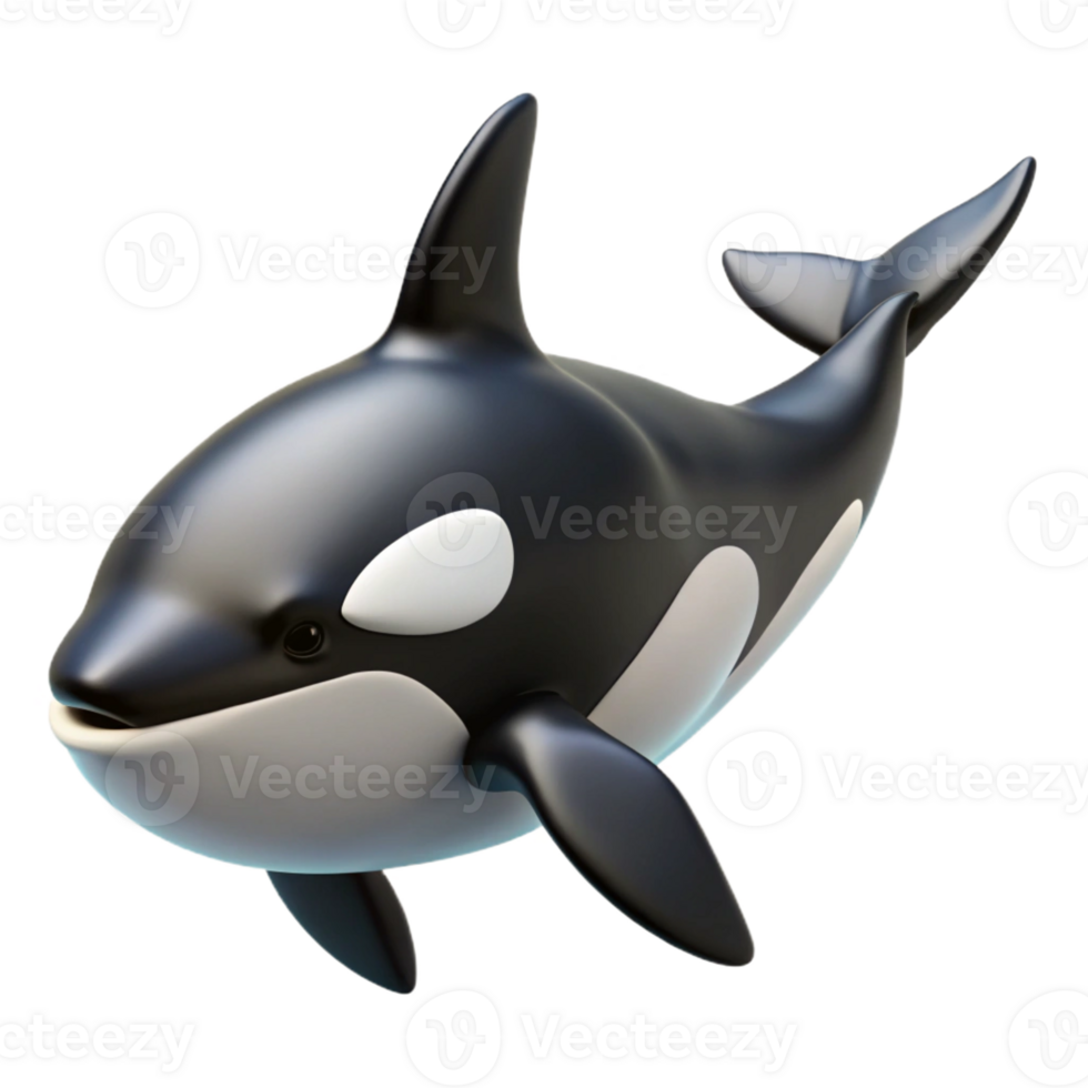 wonderful bold avant-garde Killer whale orca, black and white, dorsal fin with Transparent Background artisan png