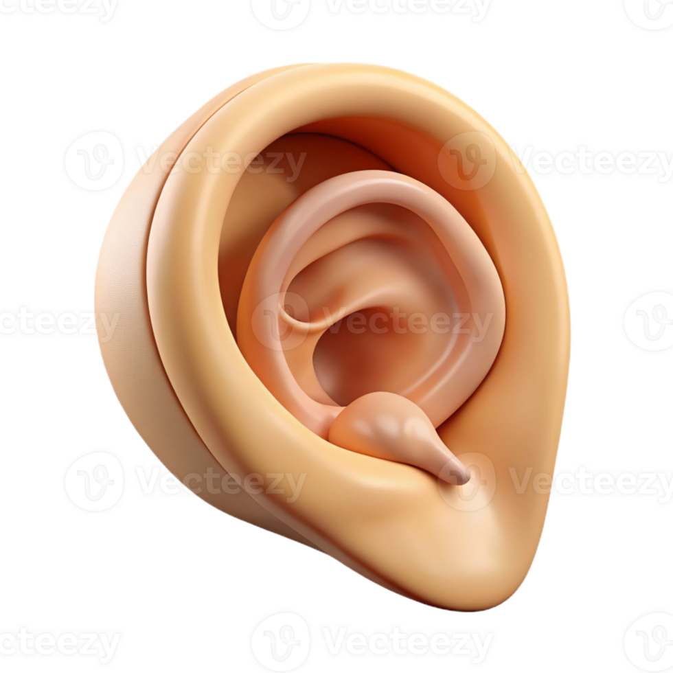 stunning passionate urban Concept art style, isolated cutout of a single human ear listening to the whispers of a conch shell with Transparent Background original png