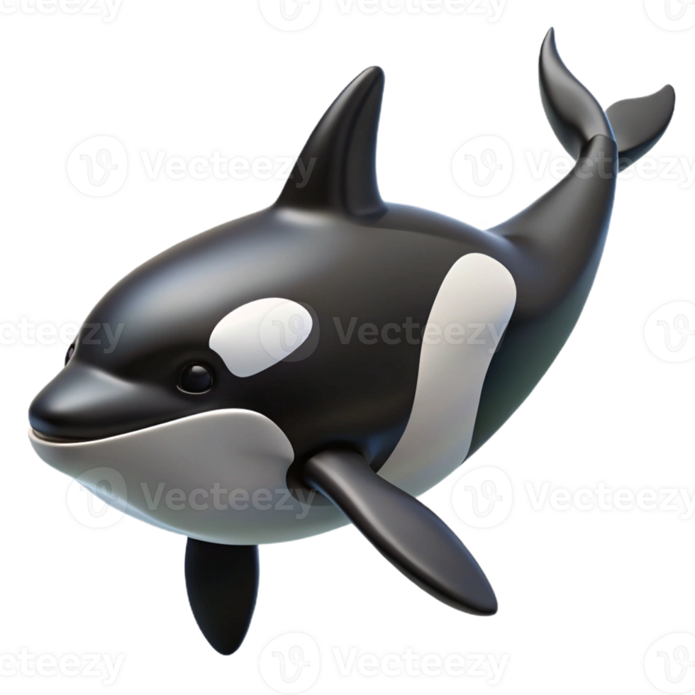 tranquil hypnotic Killer whale orca, black and white, dorsal fin with Transparent Background museum quality png
