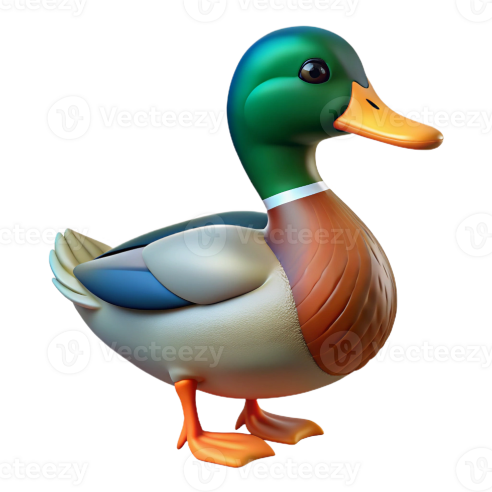 stunning coveted Duck, mallard, colorful plumage with Transparent Background png