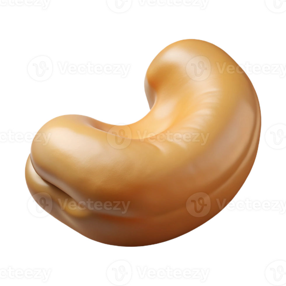 memorable organic Isolated cutout, hyper-specific, photorealistic rendering of a single, raw cashew nut still in its shell with Transparent Background museum quality png