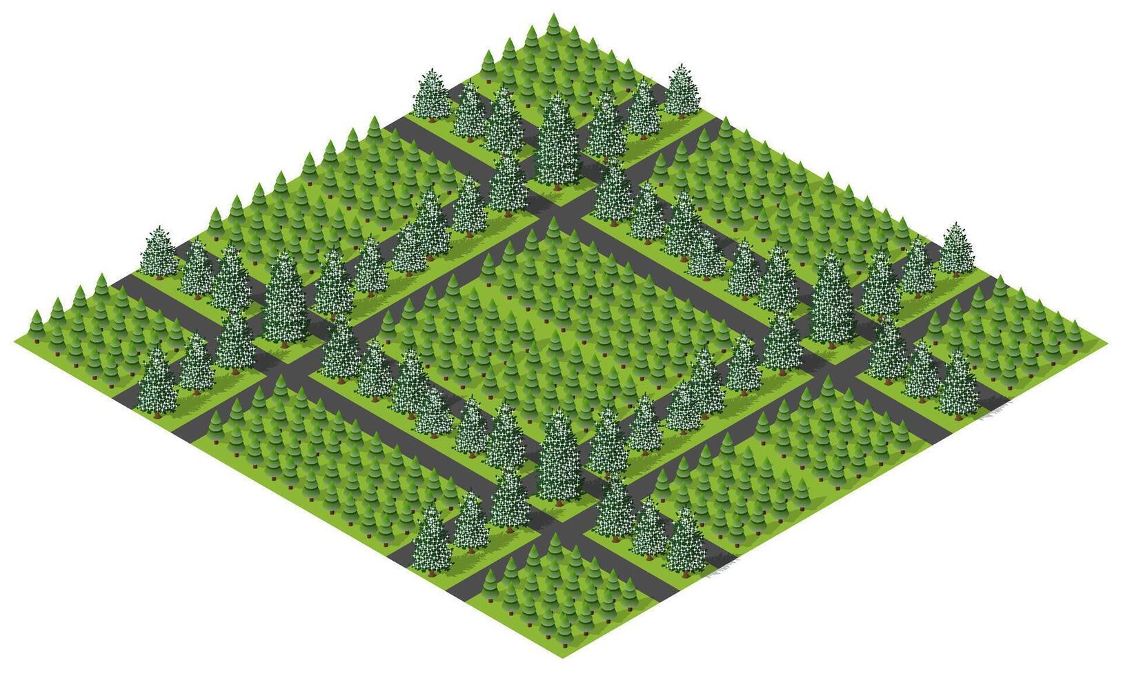 Isometric forest with trees and roads vector