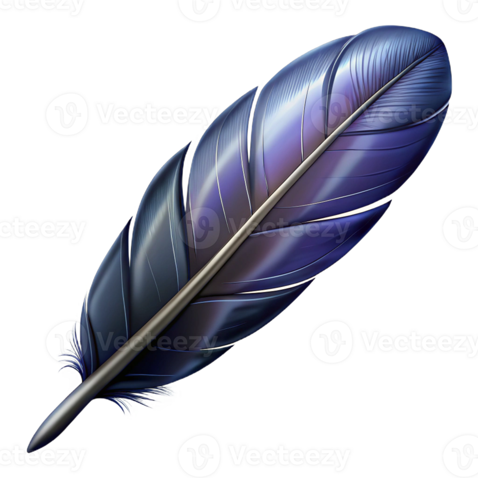 pristine romantic elegant A highly detailed illustration of a single raven feather with Transparent Background impeccable png