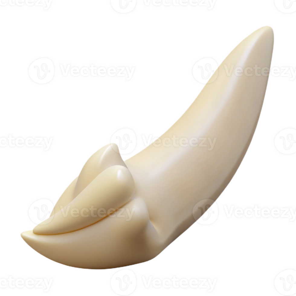 extraordinary dramatic rustic Hyper-specific, isolated cutout of a single, dragon tooth, ivory, serrated edge with Transparent Background ultra HD png