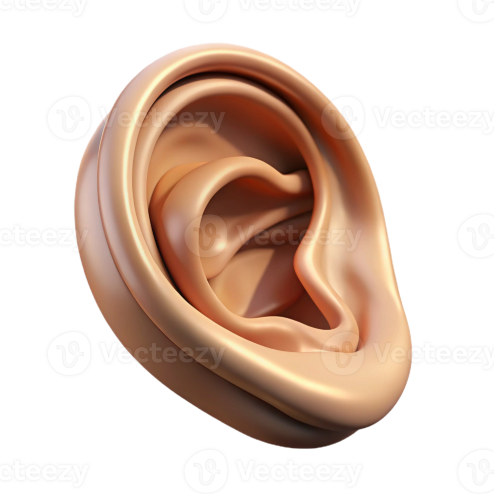 vibrant notable Hyper-specific professional render of a single human ear with intricate details and realistic textures Isolated cutout with Transparent Background png