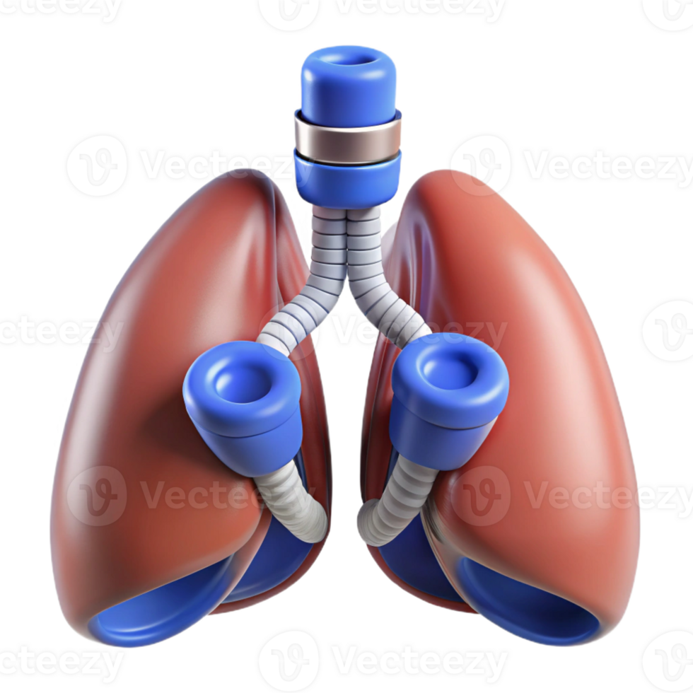unparalleled art deco Hyper-specific, professional render of a biomechanical lung with filtration membranes and oxygen tanks Isolated cutout Photorealistic with Transparent Background museum quality png