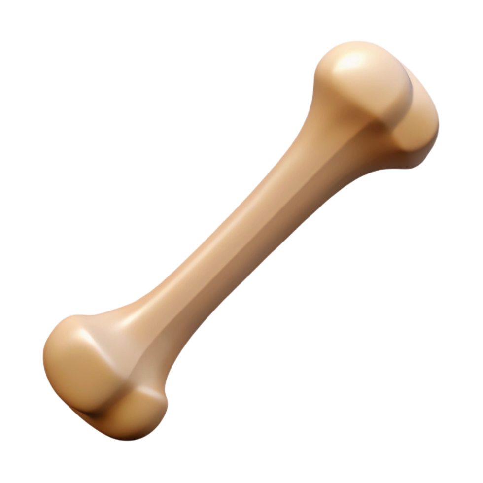 splendid sought-after Ultra-detailed, photorealistic render of a single bone, human femur, isolated cutout with Transparent Background png