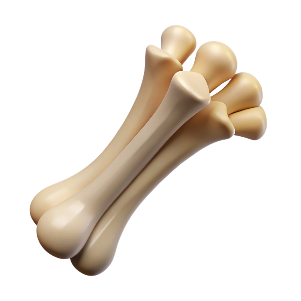 spectacular surreal Professional render of a biomechanical primate finger bone, photorealistic, ultra-detailed, hyper-specific, isolated cutout with Transparent Background expertly shot png