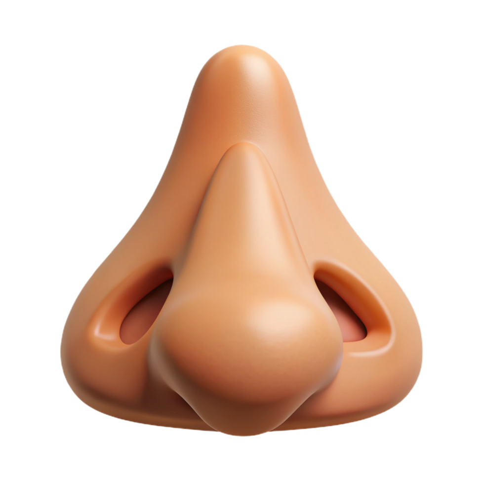 passionate radiant Photorealistic isolated cutout of a human nose with realistic details and pores with Transparent Background perfect clarity png