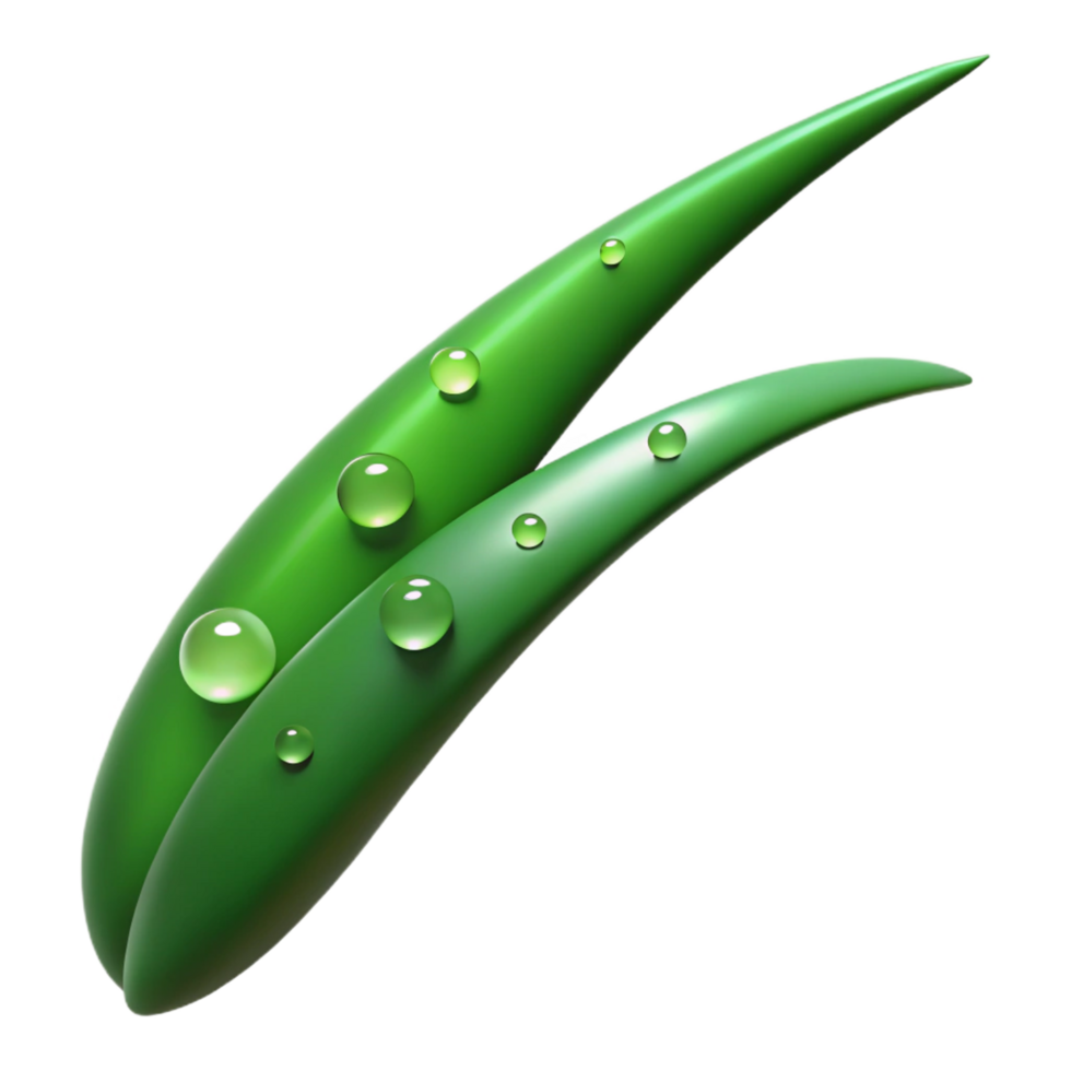 mesmerizing modern Hyper-specific ultra-detailed isolated cutout of a single blade of grass, dew drops, green, macro photography, with Transparent Background flawless png