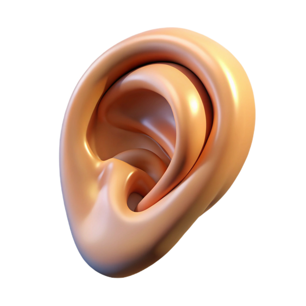 wonderful geometric Hyper-specific photorealistic professional render of a human ear, isolated cutout with Transparent Background fine detail png
