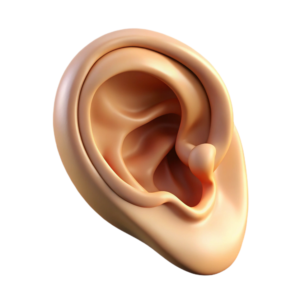 serene elegant Photorealistic isolated cutout of a single human ear with realistic details and cartilage with Transparent Background sharp png