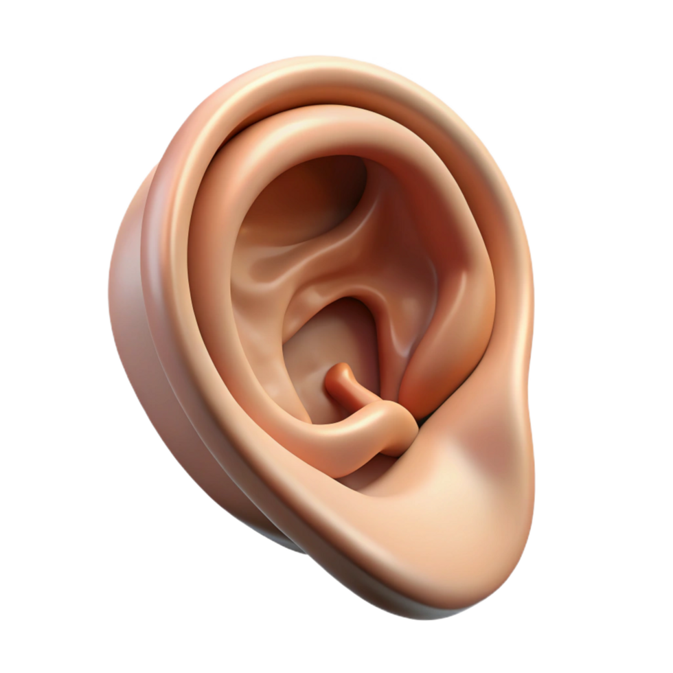 splendid geometric Ultra-detailed, professional render of a single, human ear with intricate cartilage and inner ear details Isolated cutout with Transparent Background 8K png