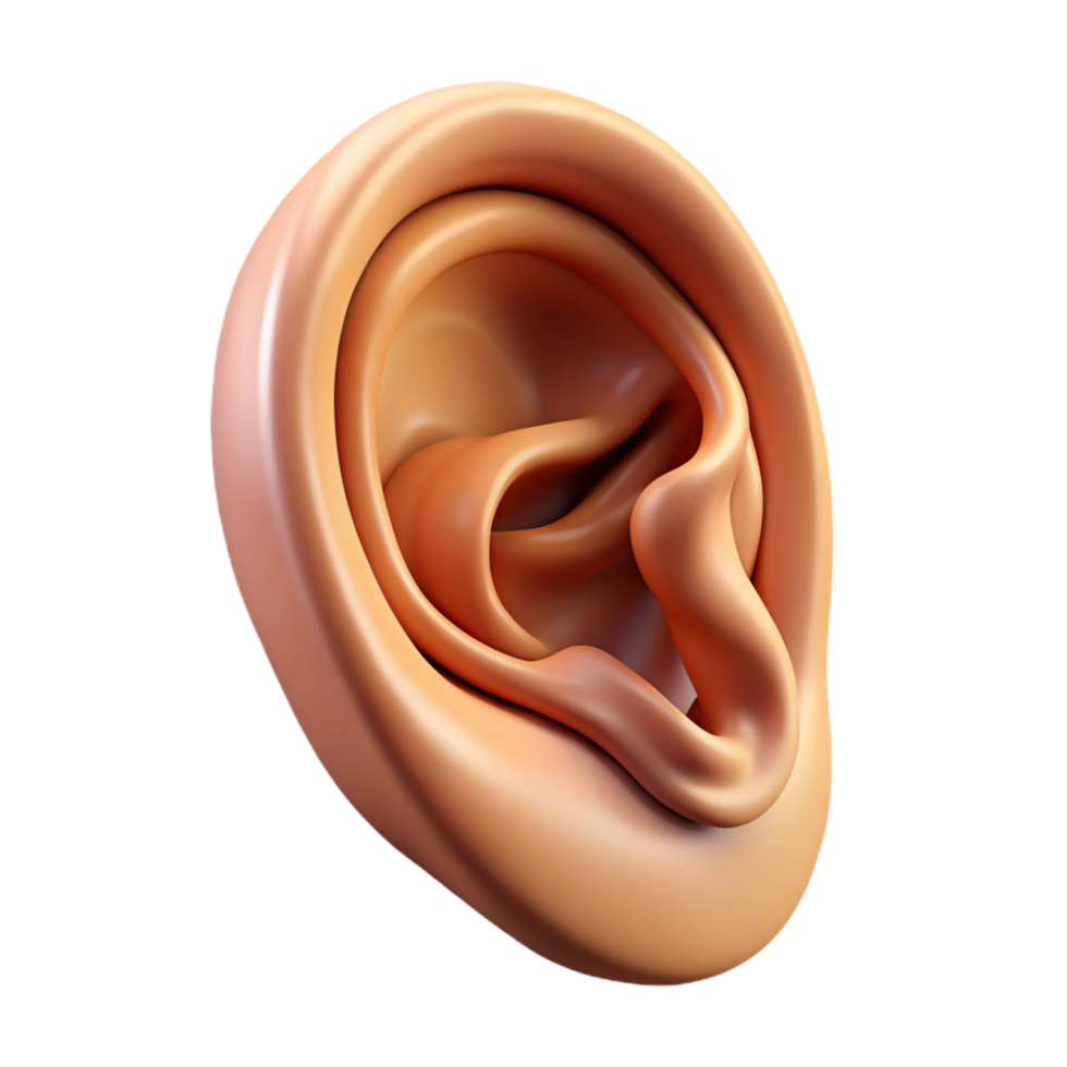 picturesque inspired Ultra-detailed, professional render of a single, human ear with intricate cartilage and inner ear details Isolated cutout with Transparent Background png
