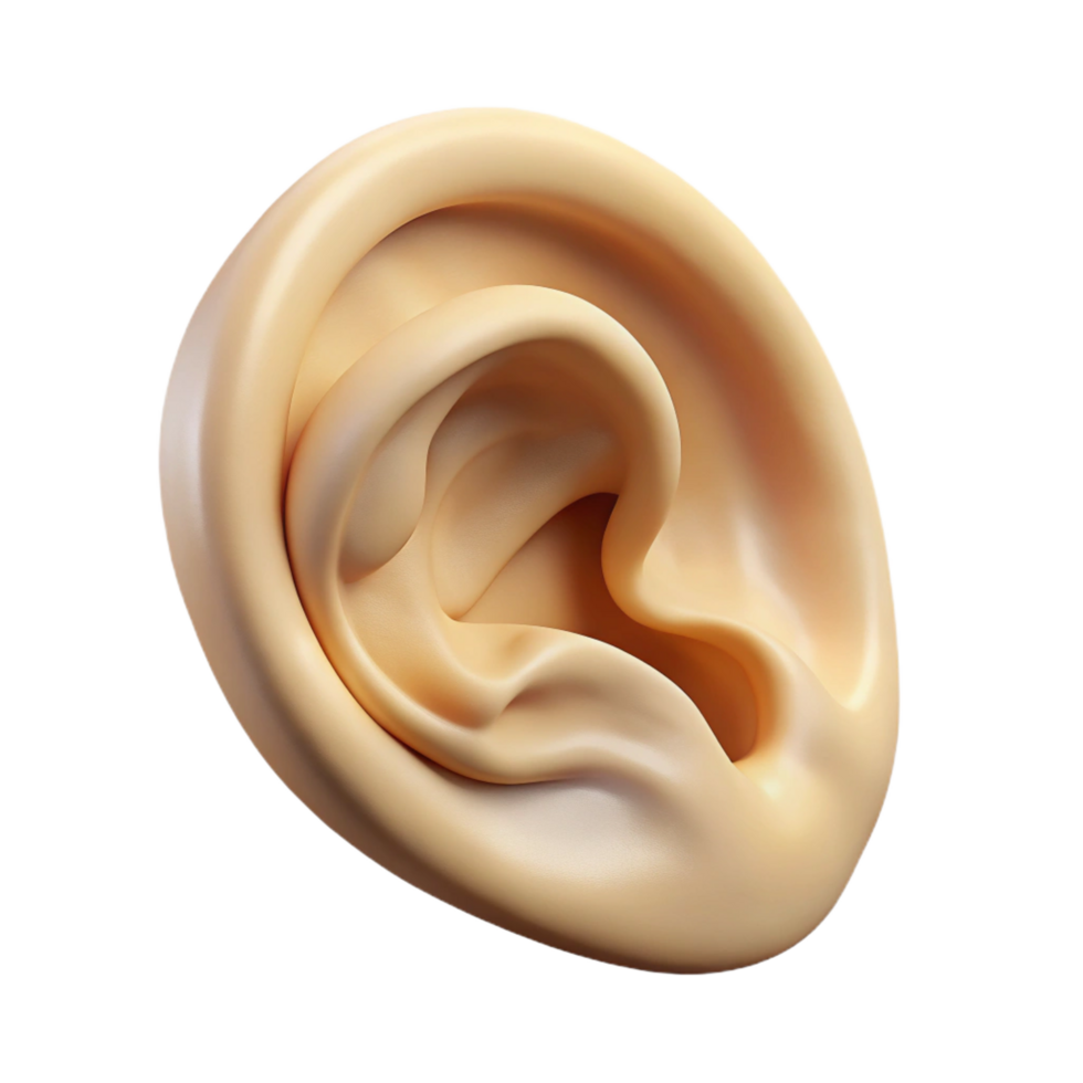 mesmerizing ethereal rustic Ultra-detailed, photorealistic isolated cutout of a single, floating, human ear made of intricately carved ivory with Transparent Background fine detail png