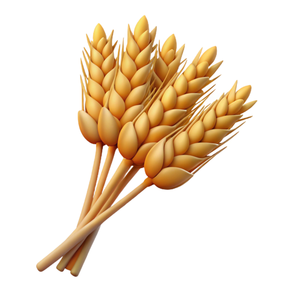 harmonious spectacular Bundle of wheat stalks with Transparent Background handcrafted png