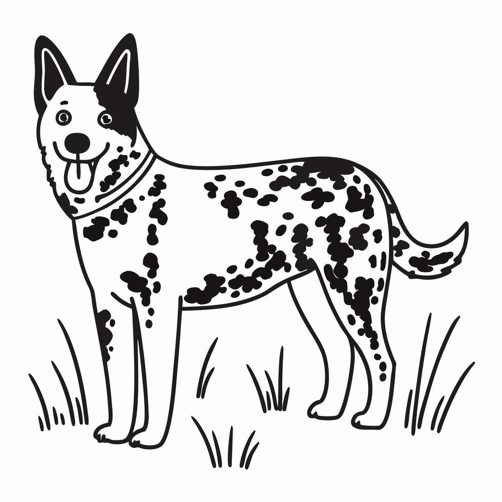 Australian Cattle Dog Line Art Illustration vector