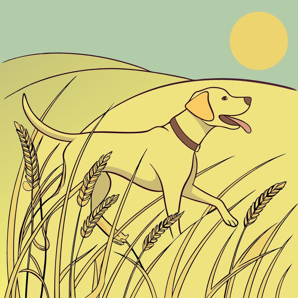 Yellow Lab Running in Wheat Field vector