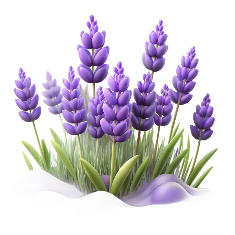 stunning minimalist A Field of Lavender Flowers Swaying in the genuine png