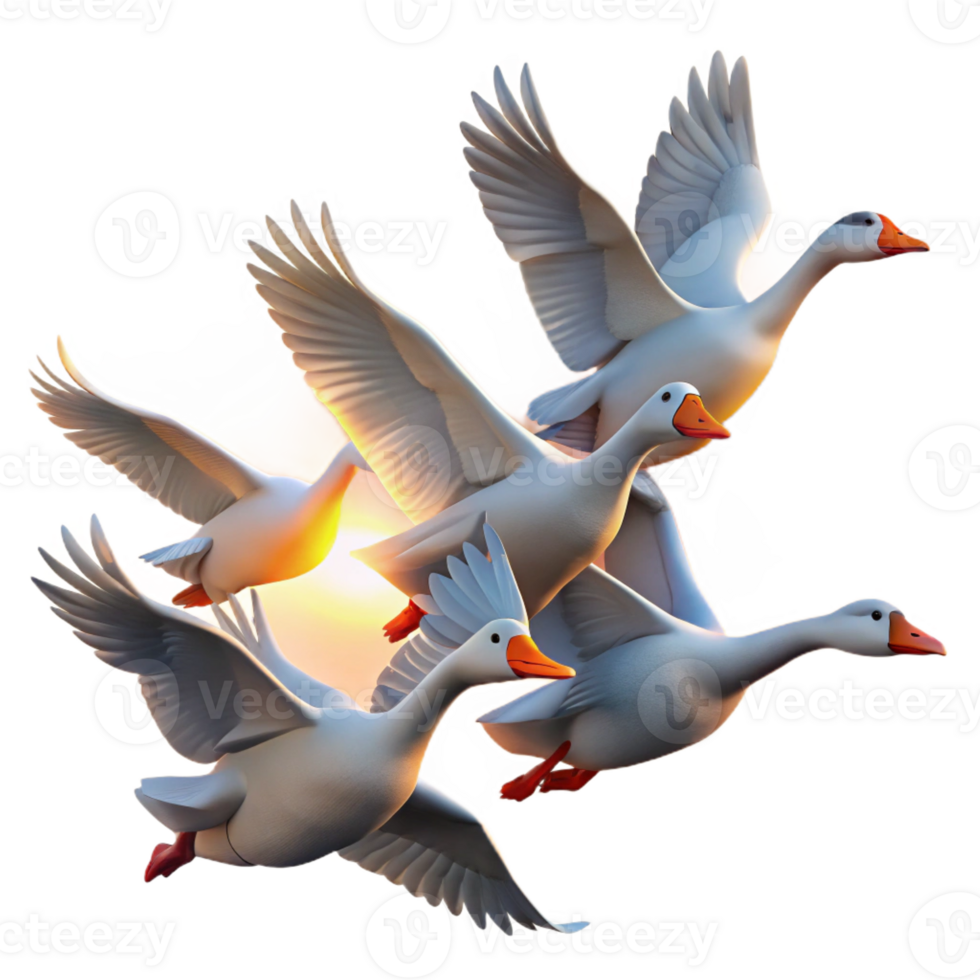 wonderful artistic A Flock of Geese Flying in a V Formation exclusive png