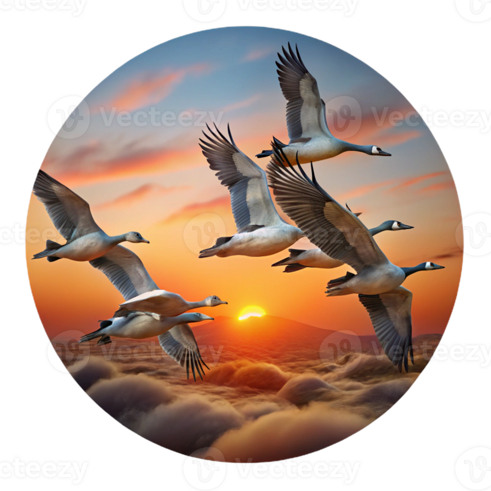wonderful creative A Flock of Migrating Geese Flying in a V high resolution png