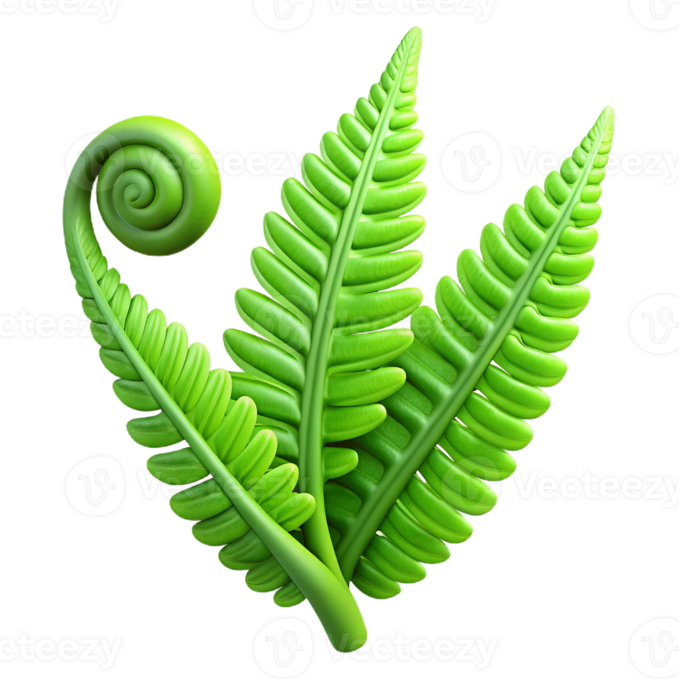 beautiful traditional A Lush Green Fern Unfurling Soft exclusive png